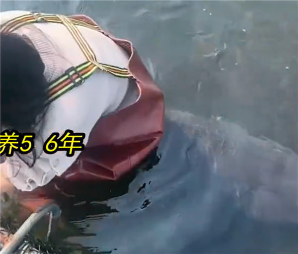 ŮιB(yng)500~һ́߀׌T